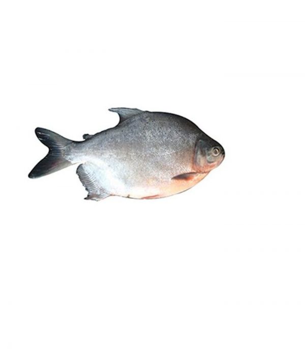 Rupchada Fish